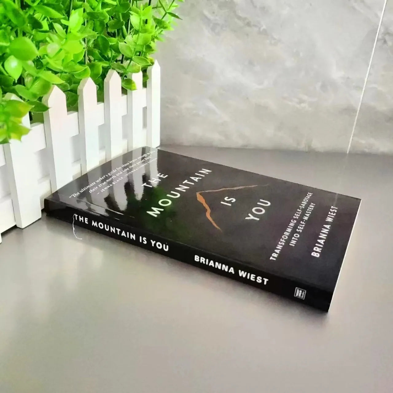 The Mountain Is You 
By Brianna Wiest