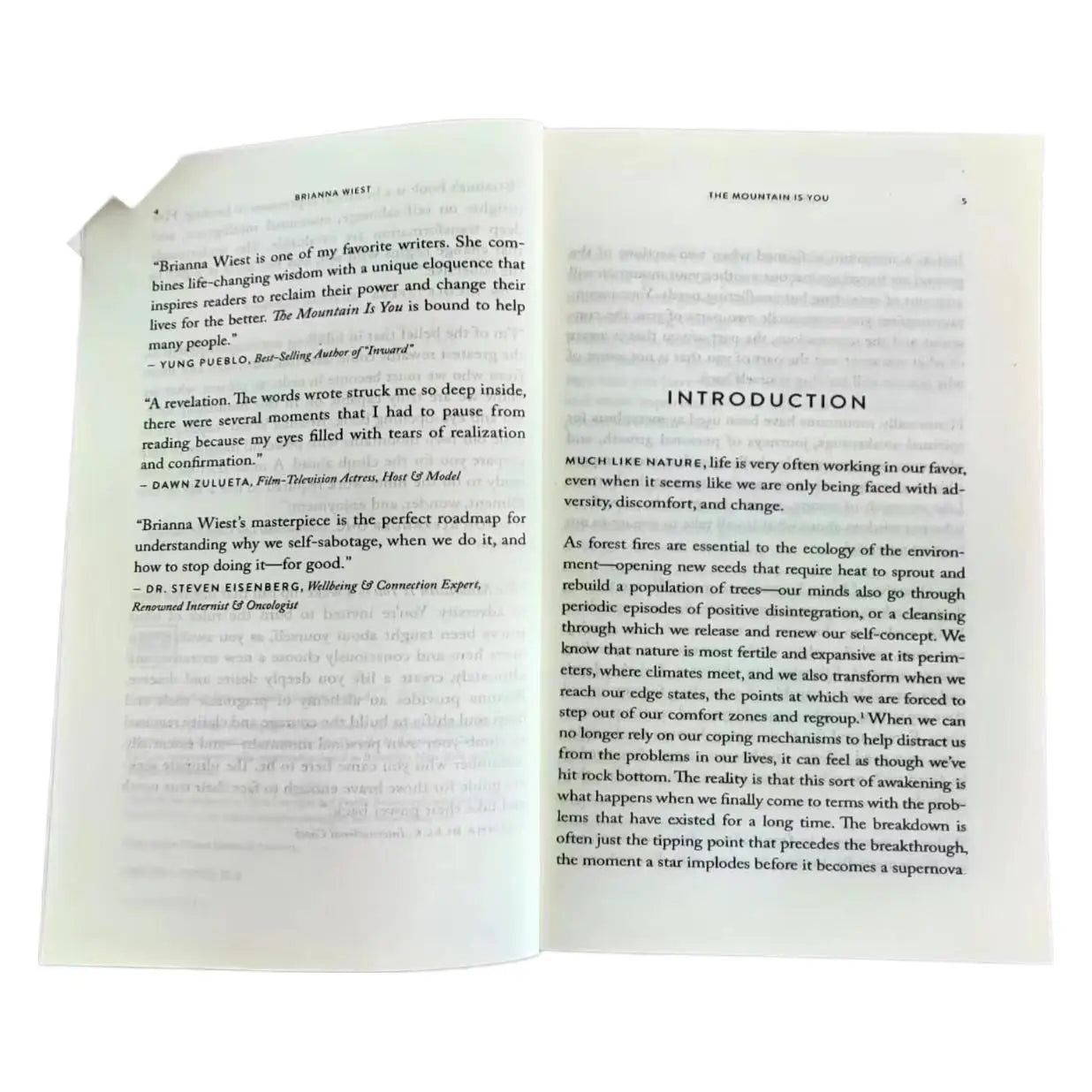 The Mountain Is You 
By Brianna Wiest