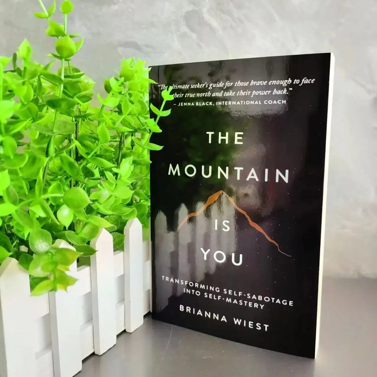 The Mountain Is You 
By Brianna Wiest