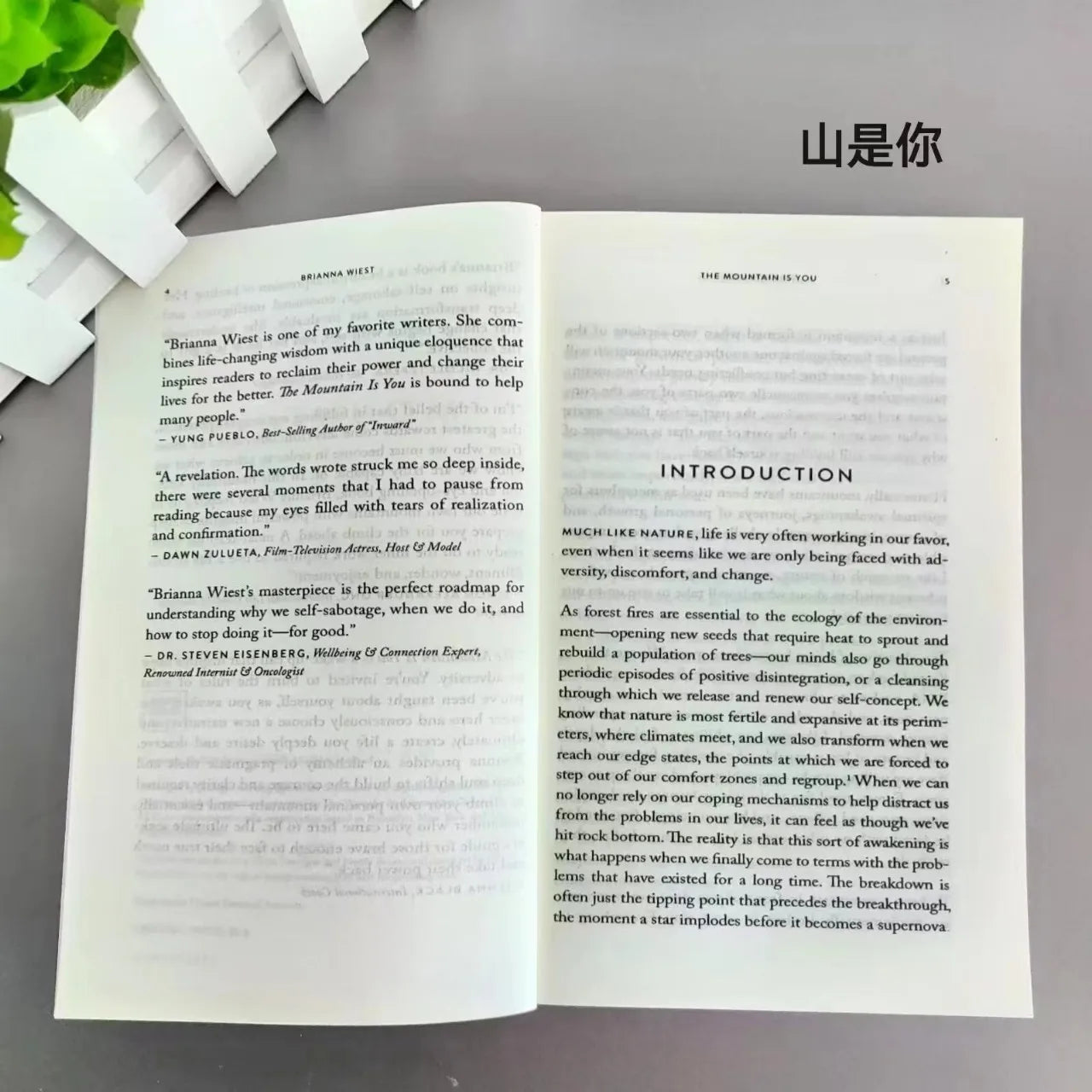 The Mountain Is You 
By Brianna Wiest