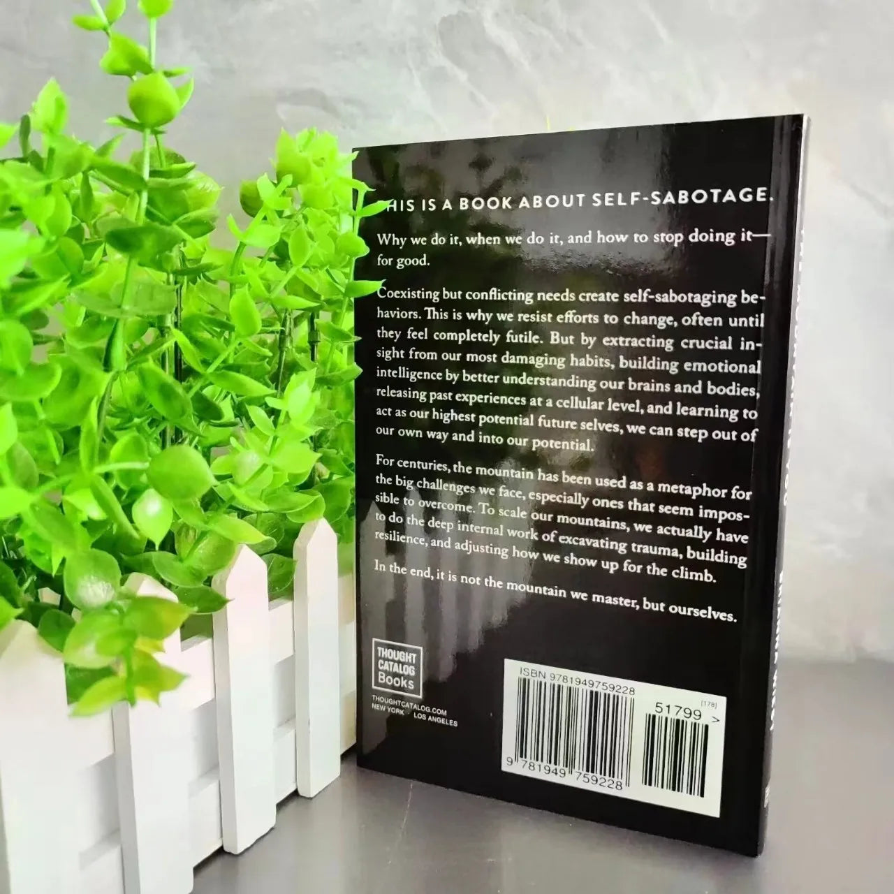 The Mountain Is You 
By Brianna Wiest