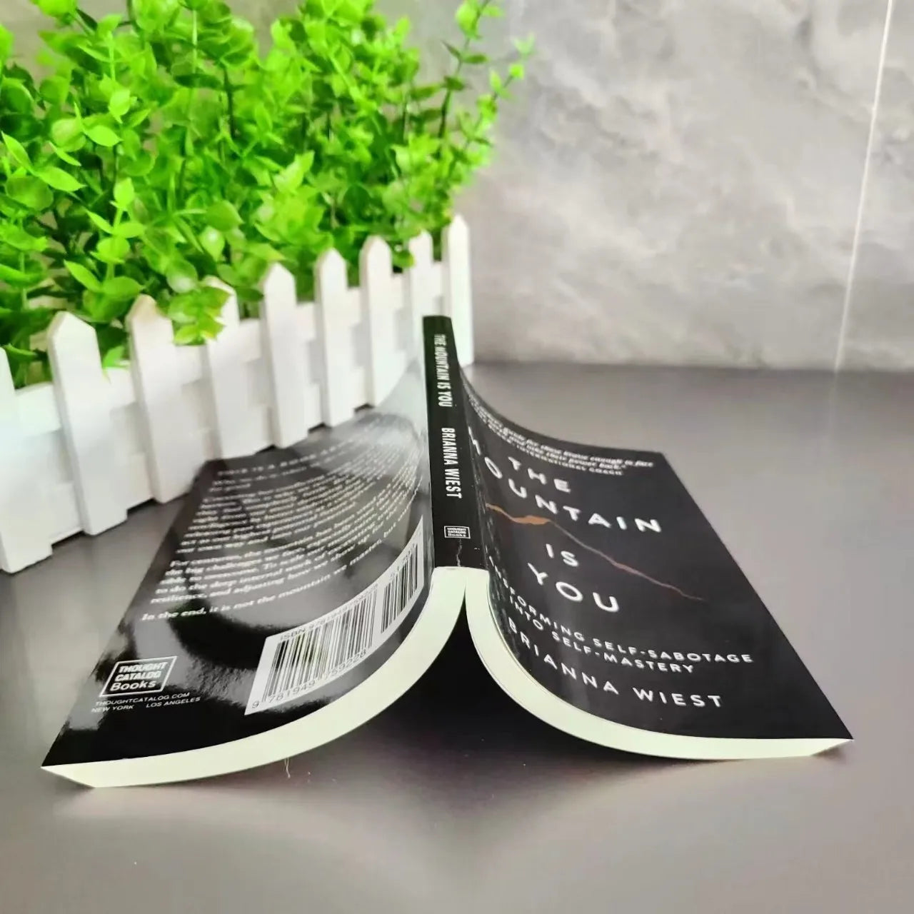 The Mountain Is You 
By Brianna Wiest